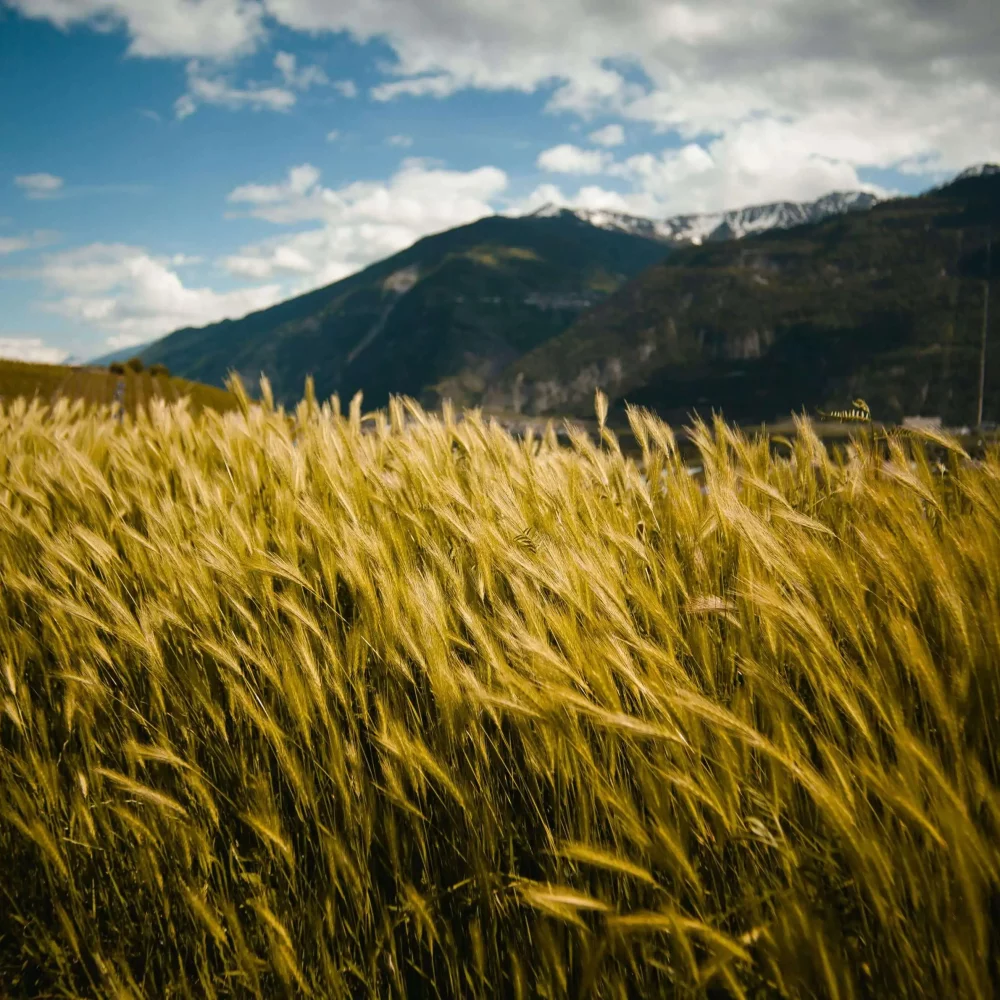 deetouch-about-image