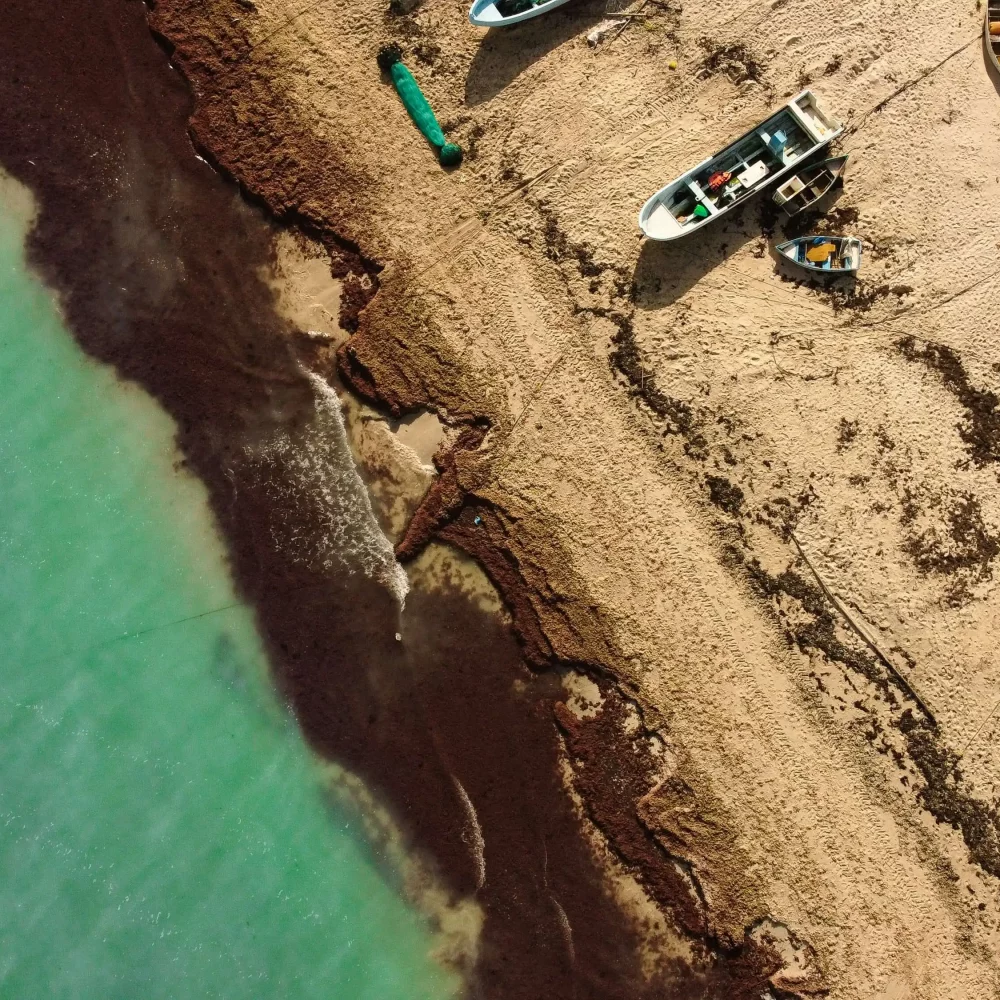 Deetouch photography - drone photo - mexico beach
