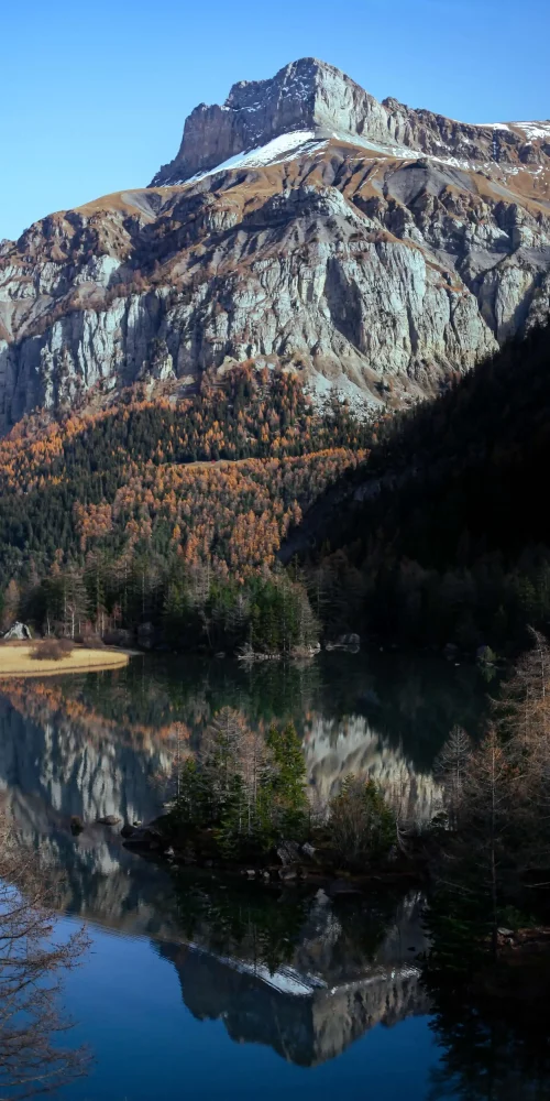 Deetouch photography - Swiss photo - Derborence