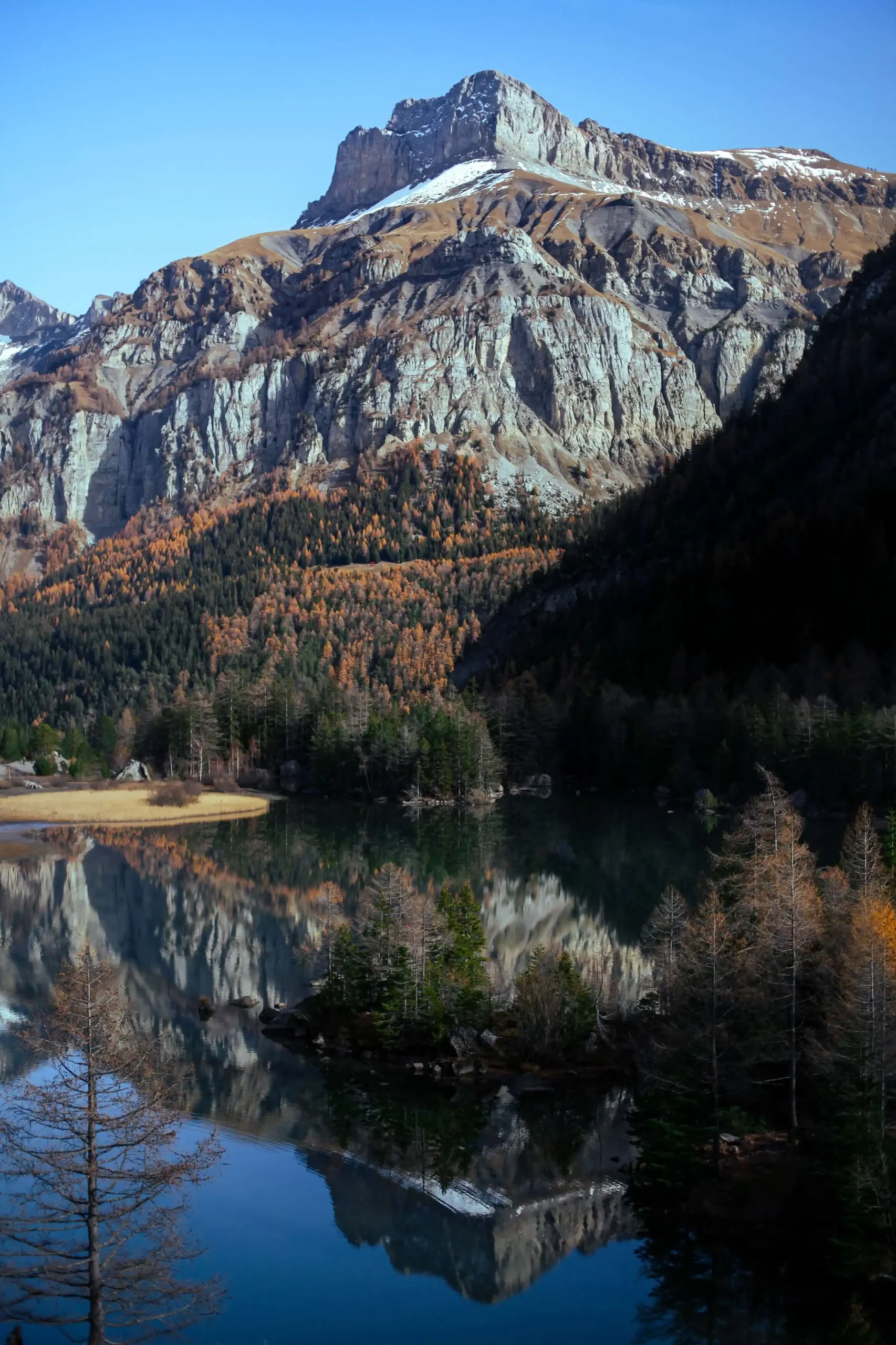 Deetouch photography - Swiss photo - Derborence